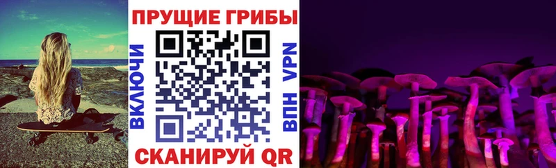 площадка телеграм  Чадан  Галлюциногенные грибы ЛСД 